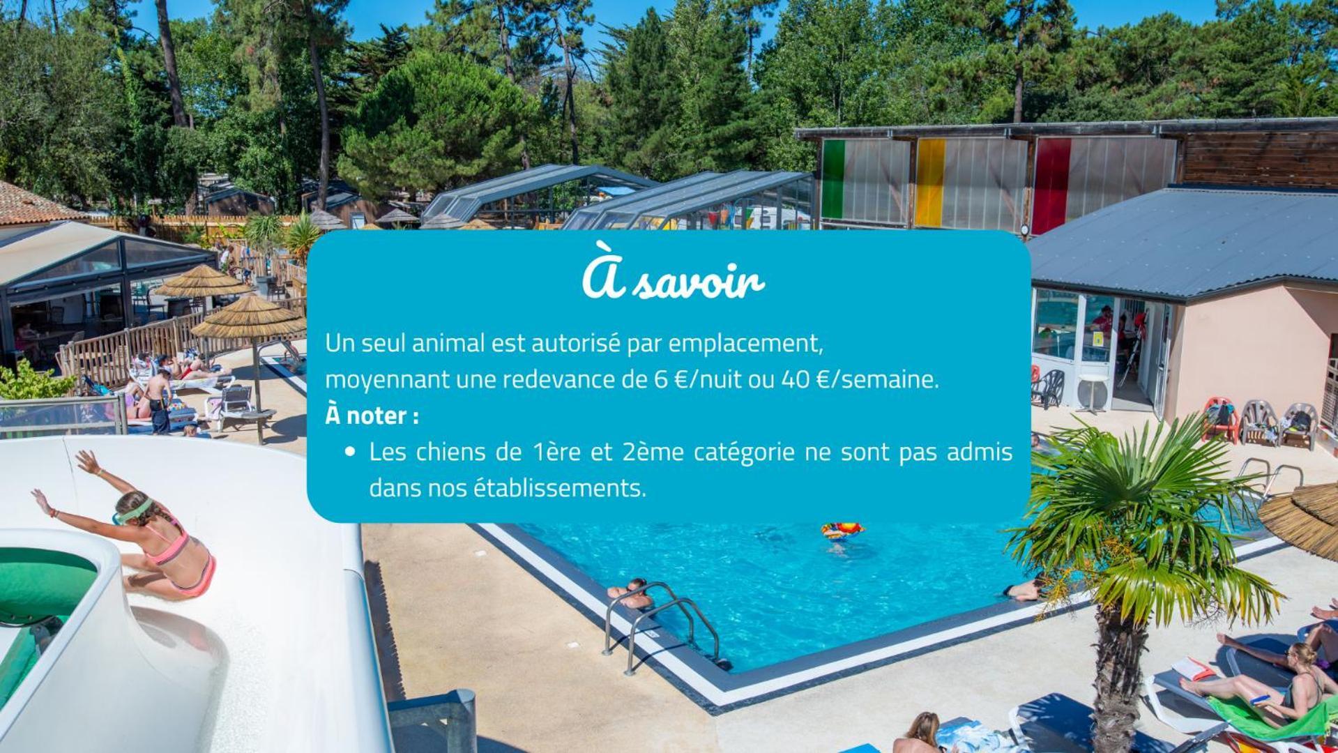 Boyardville Camping Signol מראה חיצוני תמונה