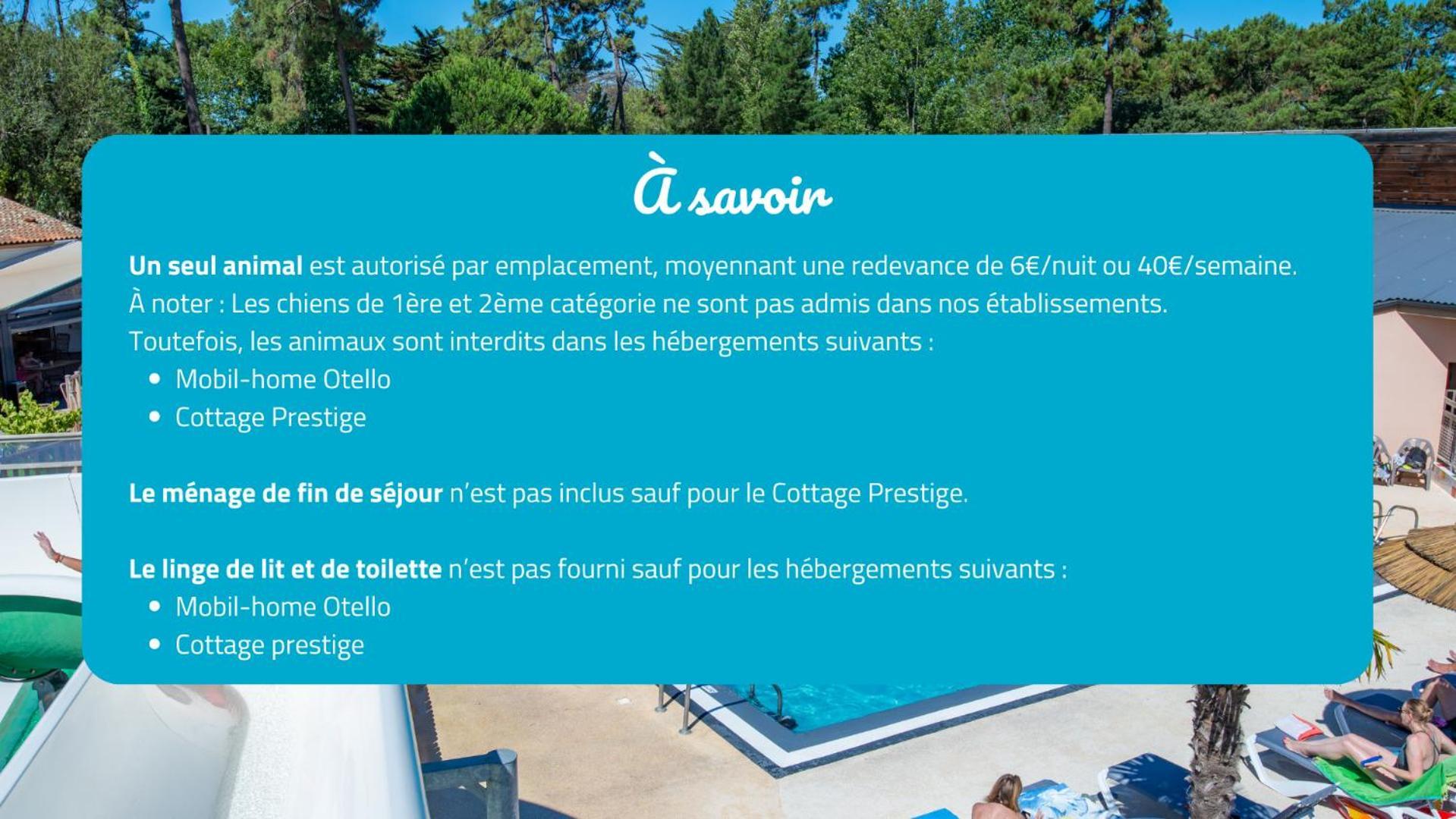 Boyardville Camping Signol מראה חיצוני תמונה